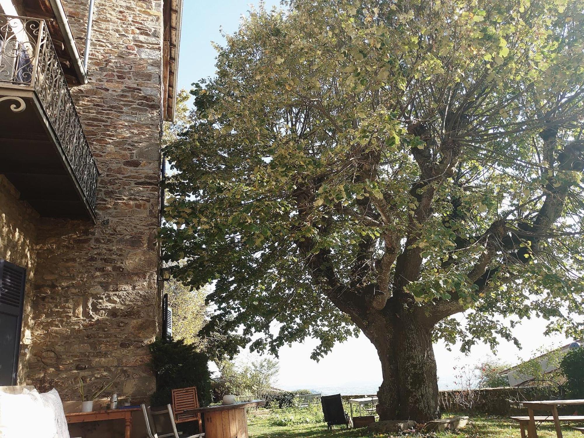 Chateau De Riverie Chambres Et Table D'Hotes المظهر الخارجي الصورة